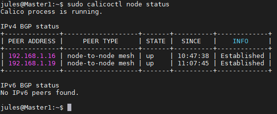 Calico Node Status