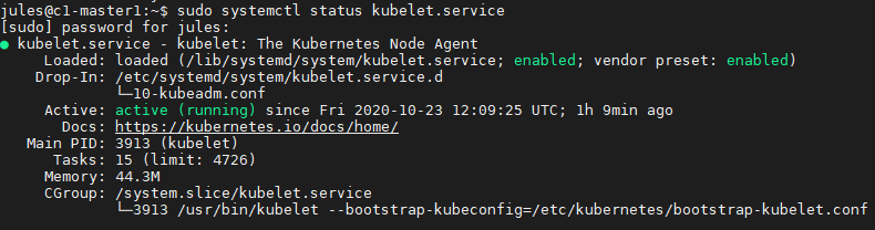 kubelet service enable